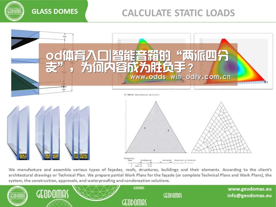 od体育入口|智能音箱的“两派四分支”,为何内容成为胜负手?(图2) od体育下载