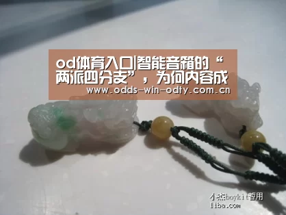 od体育入口|智能音箱的“两派四分支”,为何内容成为胜负手?(图3) od体育入口