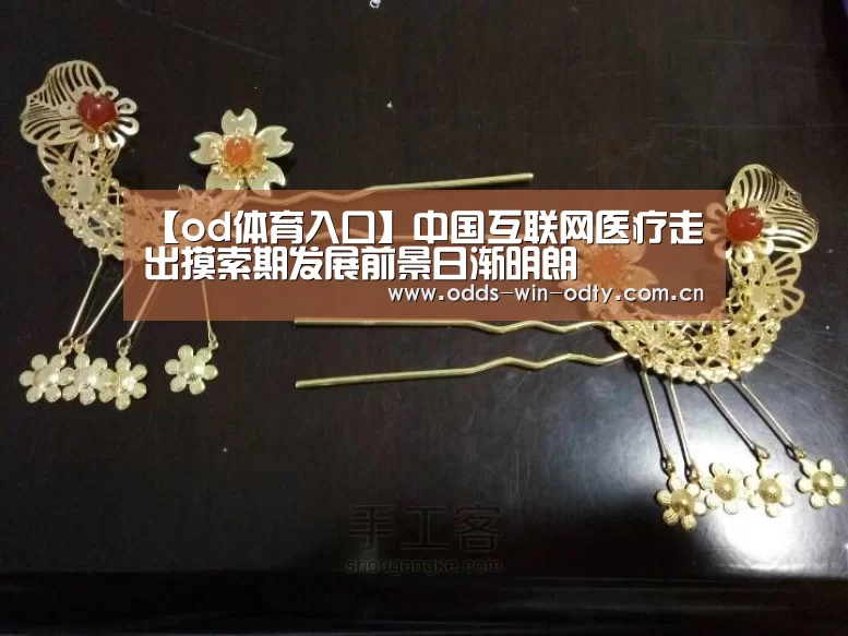 【od体育入口】中国互联网医疗走出摸索期发展前景日渐明朗(图2) od体育下载
