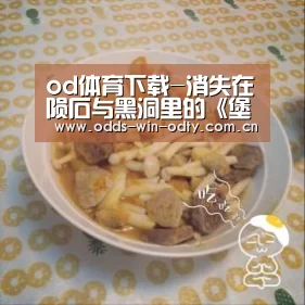 od体育下载-消失在陨石与黑洞里的《堡垒之夜》(图3) od体育下载
